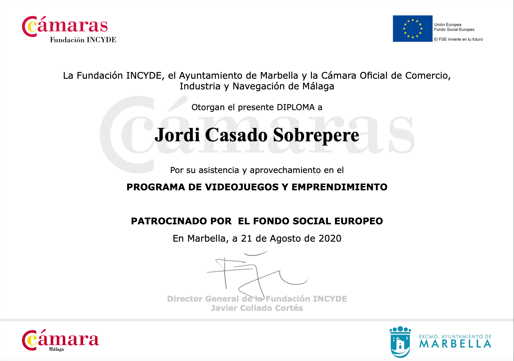 Diploma Videojuegos Marbella