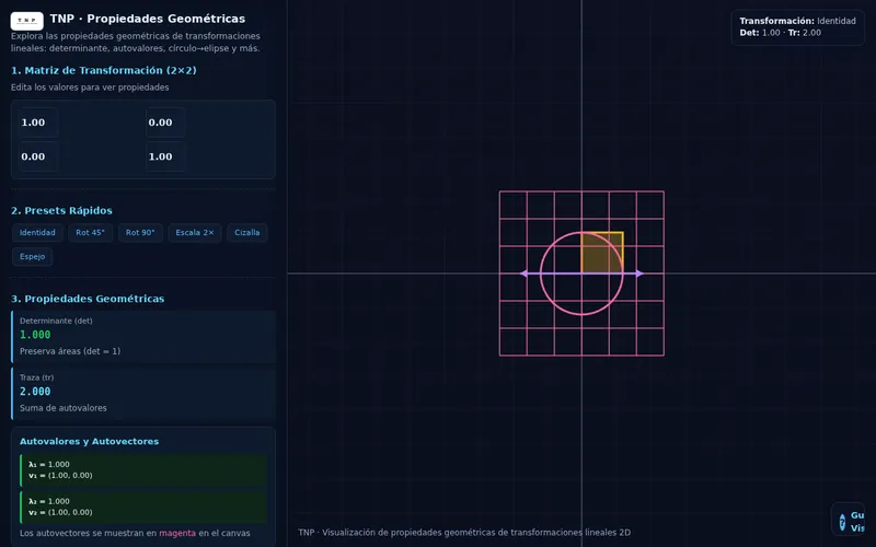 TNP · Propiedades Geométricas